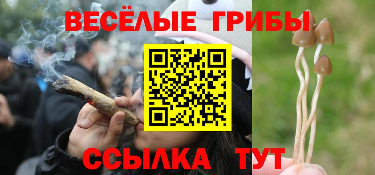 Псилоцибиновые грибы ЛСД  Вход с VPN  Галлюциногенные грибы Psilocybe  Лыткарино 